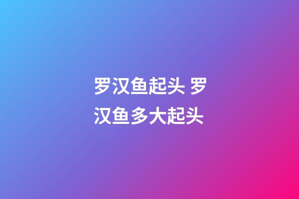 罗汉鱼起头 罗汉鱼多大起头